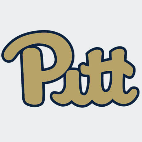 About Pitt - We Cure Pitt By Naturopathy Treatment